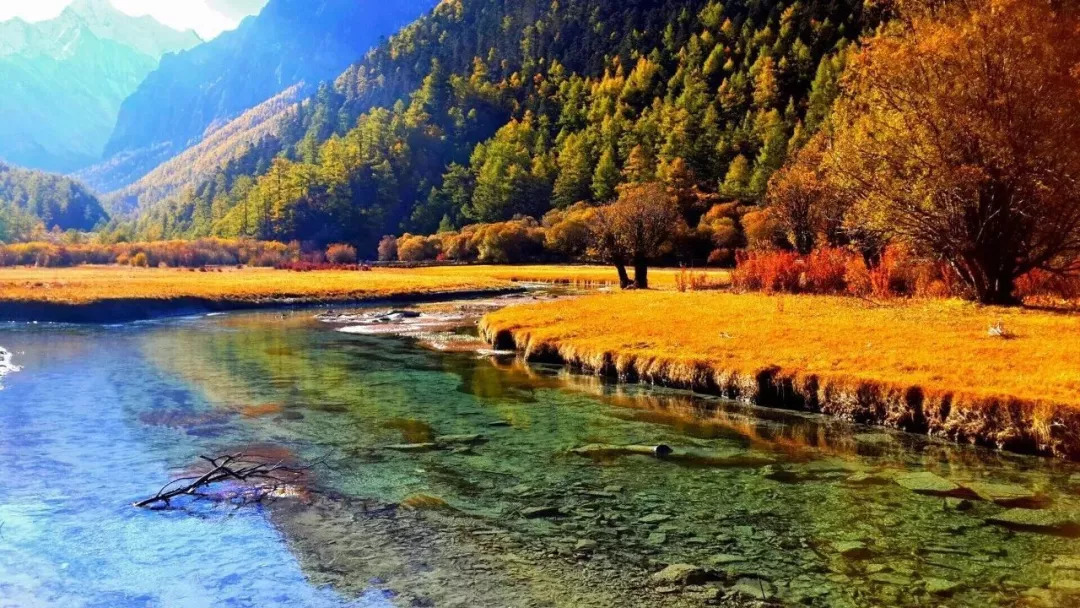 黄山维景国旅,黄山维景国际旅行社有限公司,世界纵横