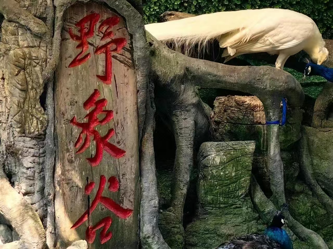 #