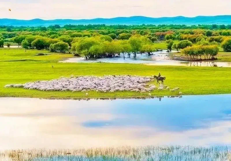 #