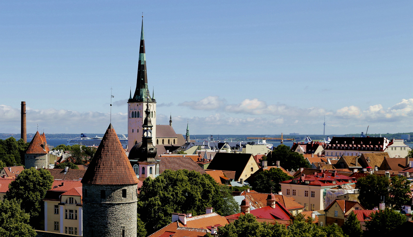 黄山维景国旅,黄山维景国际旅行社有限公司,世界纵横行!
