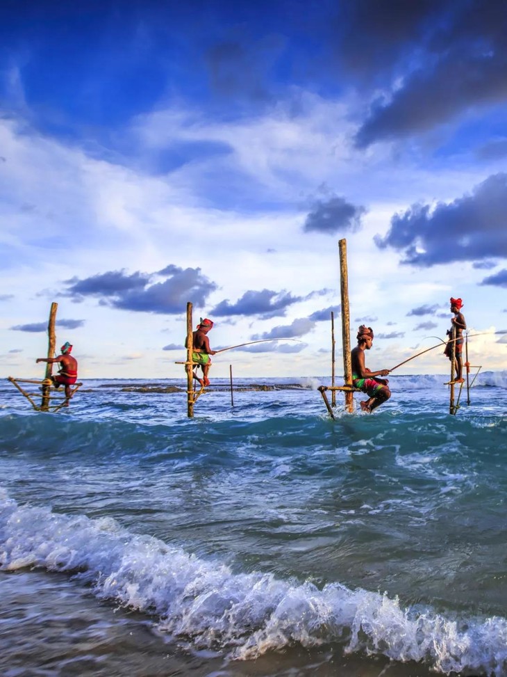 斯里兰卡/高跷渔夫
