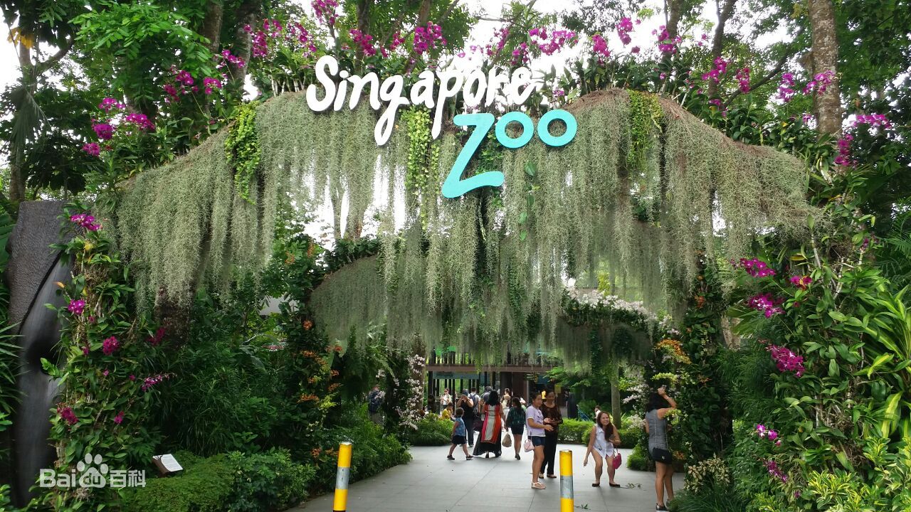 新加坡日间动物园