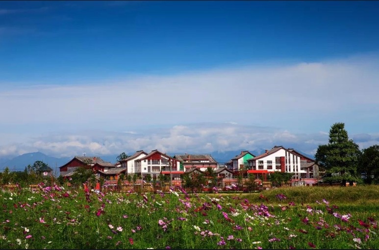 蜀国鹃都花海盛宴纯玩一日游(春日无处不飞花,千万杜鹃满园红)